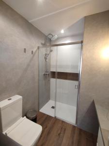 a bathroom with a shower and a white toilet at APARTAMENTO ANCHA CENTRO in Huétor-Tájar
