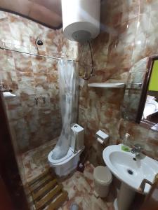 y baño con lavabo, aseo y ducha. en Lodge Du Chateau, en Gondar