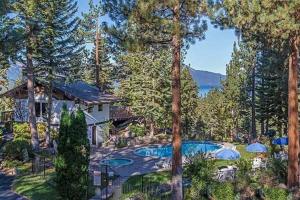 a house with a swimming pool in the middle of trees at 3336 Pine Hill Road home in South Lake Tahoe