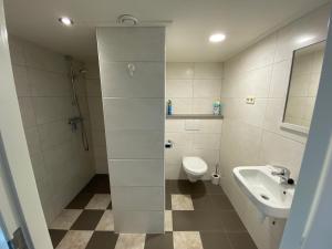 a bathroom with a toilet and a sink at De Schuure 't Voorde in Winterswijk in Winterswijk +13 photos