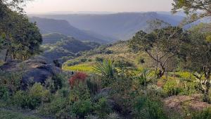 Elle offre une vue sur une vallée avec des montagnes et des arbres. dans l'établissement Oribi Gorge Villa, à Glendale