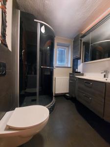 y baño con ducha, aseo y lavamanos. en Roki Bled, en Bled