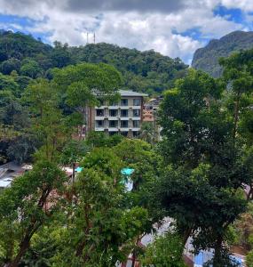 a building in the middle of a forest of trees at BaleCabugaoCottagesRental in El Nido