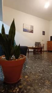 uma planta num vaso numa sala de estar em Blackbeard's House - Kastri Crete em Kastrí