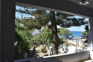 a window view of a tree and the ocean at Blackbeard's House - Kastri Crete in Kastrí