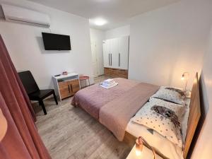 a bedroom with a bed and a desk and a television at Agropensiunea Vila Cristina in Niculiţel
