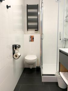 a white bathroom with a toilet and a shower at Królowa Śniegu in Karpacz