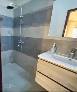uma casa de banho com um lavatório e um chuveiro em Beachfront Villa by M&H em Tamarin