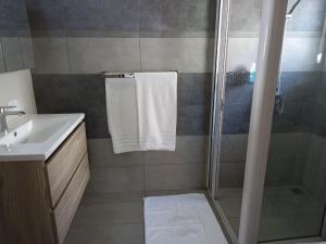 y baño con ducha y lavamanos. en Beachfront Villa by M&H en Tamarin