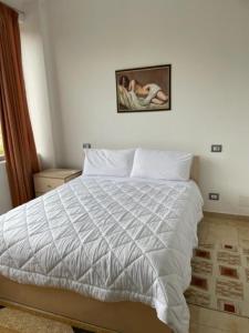 a bedroom with a white bed with a picture on the wall at "Frogs House" Hotel & Restorant Slow Food in Lushnjë