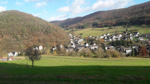 a small town in a valley with a mountain at Apartement Unten im Dorf in Weifenbach