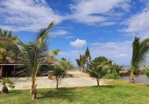 a view of a beach with palm trees at La Case Du Pecheur in Grand Sable