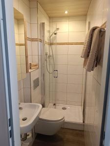 a bathroom with a shower and a toilet and a sink at Gästehaus Ferienglück Grainau in Grainau