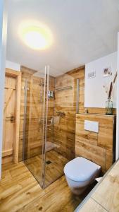 a bathroom with a toilet and a glass shower at WaldApart Willingen in Willingen