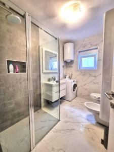 a bathroom with a shower and a sink and a toilet at Apartment Ivis in Vinkuran