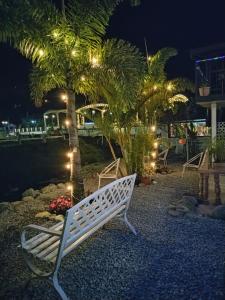 a white bench sitting next to a palm tree with lights at Hostal Boquete in Boquete