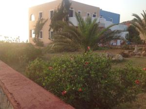 a house and a palm tree in a yard at Archipelagos Apartments in Arkasa