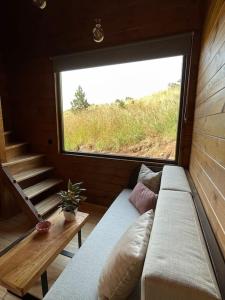 a living room with a couch and a window at Mountain Eco Shelter 4 in Funchal