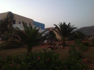 a building with palm trees in front of it at Archipelagos Apartments in Arkasa