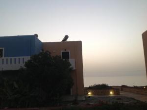a building with a bird on the top of it at sunset at Archipelagos Apartments in Arkasa
