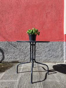 une table avec une plante en pot à côté d'un mur dans l'établissement Boutique Hotel Novecento, à La Spezia