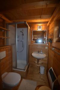 Koupelna v ubytování Feriendorf Tauerngast + 37 fotografií