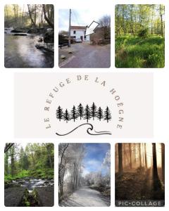 un collage de photos avec des arbres au milieu dans l'établissement Le refuge de la hoegne, à Solwaster