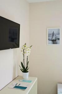 a living room with a tv and a table with a plant at Hotel Villa Margarit in Sarandë