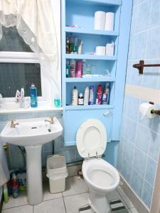 a bathroom with a white toilet and a sink at King-size room in house in London