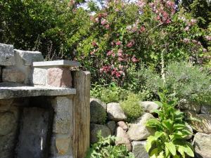 a garden with a stone wall and pink flowers at Blue Water 1 in Wustrow