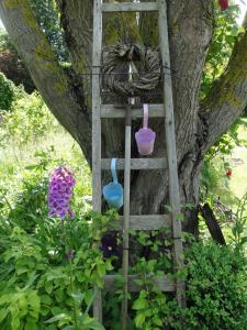 a ladder leaning against a tree with three bowls on it at Blue Water 1 in Wustrow