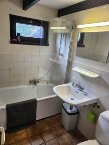 een badkamer met een wastafel en een bad bij Maison Sunpark Oostduinkerk 550 in Koksijde