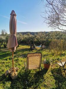 un parasol, une chaise et un miroir dans l'établissement Maison dans la Provence Verte, à Cotignac