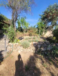 Ogród w obiekcie Maison dans la Provence Verte