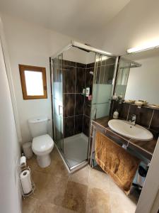 La salle de bains est pourvue d'une douche, d'un lavabo et de toilettes. dans l'établissement Maison dans la Provence Verte, à Cotignac