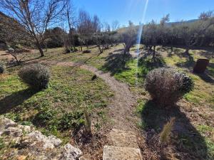 Ogród w obiekcie Maison dans la Provence Verte