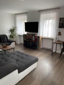 a living room with a couch and a flat screen tv at Propeller Gästehaus OG in Eppingen