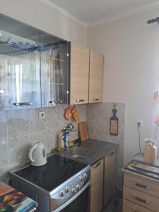 una cocina con fregadero y estufa horno superior en KolasinApartman Luis, en Kolašin 15 fotos más