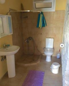 a bathroom with a sink and a toilet at Stonehouse Elia Up in Myrtos +14 photos