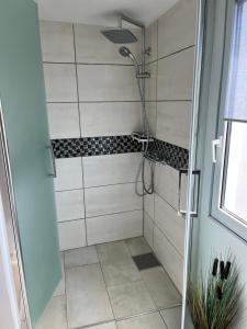 eine Dusche mit Glastür im Bad in der Unterkunft Das Ferienhaus mit Aussicht in Pirna