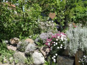 een tuin met veel bloemen en rotsen bij Blue Water 2 in Wustrow