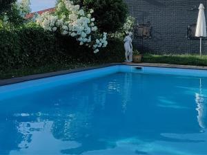 a blue swimming pool with a statue in a yard at De Weelen in Lutjebroek