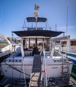 a boat is docked at a dock with a ladder at Spacious and charming BOAT in Port Forum in Barcelona