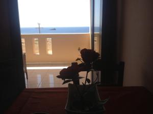 a vase with flowers on a table in front of a window at Archipelagos Apartments in Arkasa