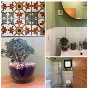 a collage of three pictures of a bathroom with a plant at Studen Jaz in Kraljevo