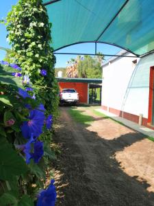 een tuin met blauwe bloemen en een auto geparkeerd onder een tent bij Hotel Rural Luna del Valle in San Agustín de Valle Fértil