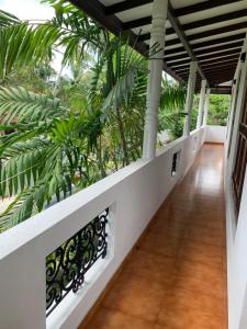 ベントータにあるTranquil Private Villa near Bentota Beachの椰子の木の建物廊下