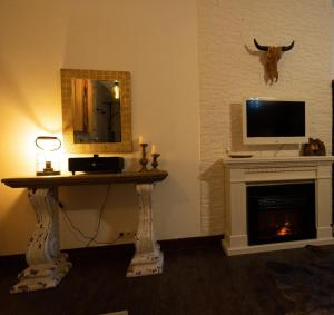 a living room with a fireplace with a television and a table at Ferienwohnung Time out in Vreden