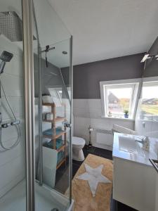 ein Badezimmer mit Dusche, Toilette und Waschbecken in der Unterkunft Ferienhaus Kleine Robbe in Friedrichskoog