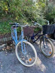 Jazda na bicykli v okolí ubytovania Appart cocooning avec parking gratuit & wifi